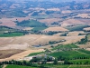 Blick von Montalcino auf Caparzo & Co.