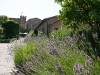 Castello Banfi