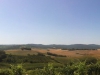 Auf dem Weg mit dem Rad nach Montalcino, gar nich so doof diese Iphone Panoramas...