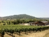 Blick nach Montalcino